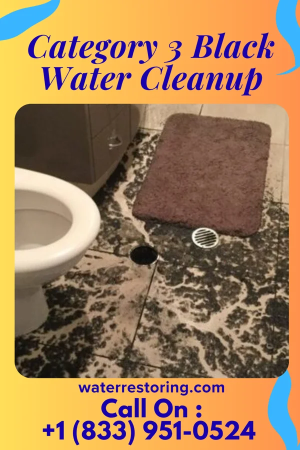 Category 3 Black Water Cleanup in Harrodsburg, KY