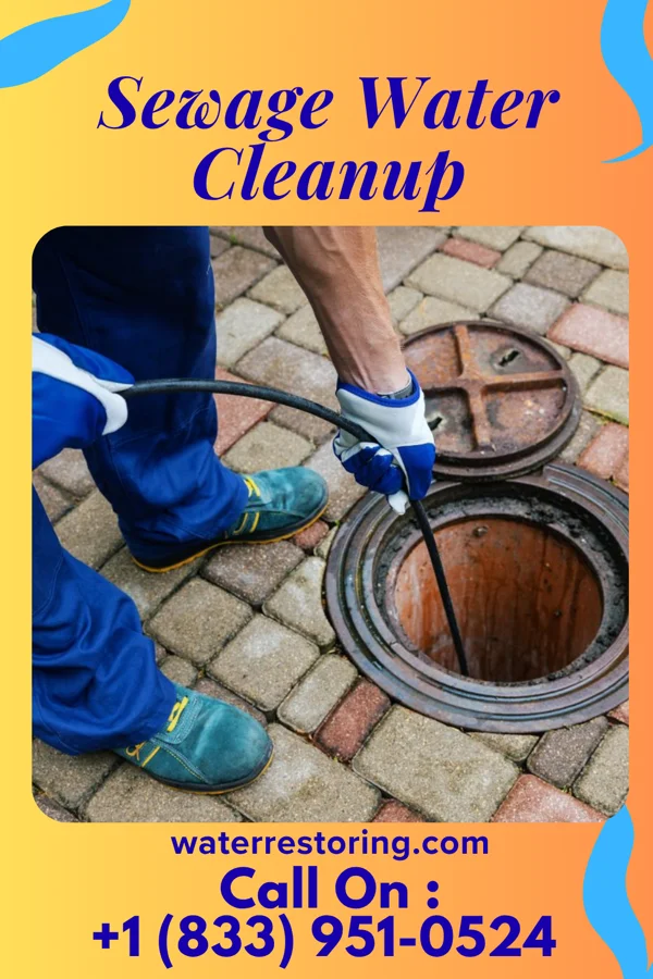 Sewage Water Cleanup in Harrodsburg, KY