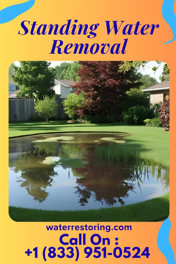 Standing Water Removal in Harrodsburg, KY